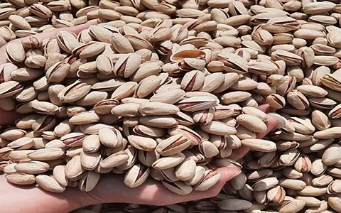 تصویر 3 از پسته شور مجلسی با طعم بی‌ نظیر و درجه یک